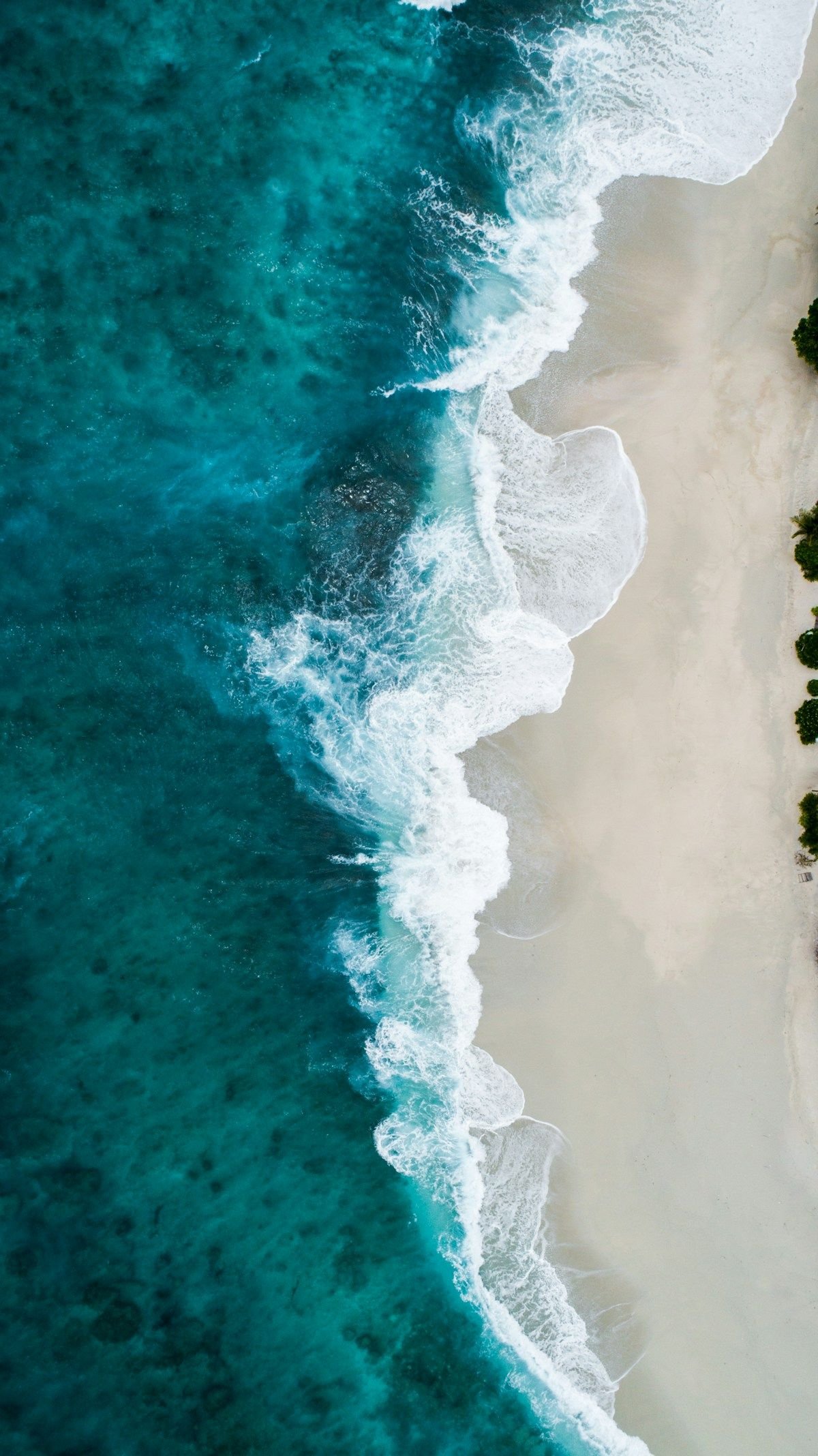 Luxury Cruise Holidays: 3 Things You Must Know Before Booking Cruise ship balcony cabin ocean view luxury accommodation sea