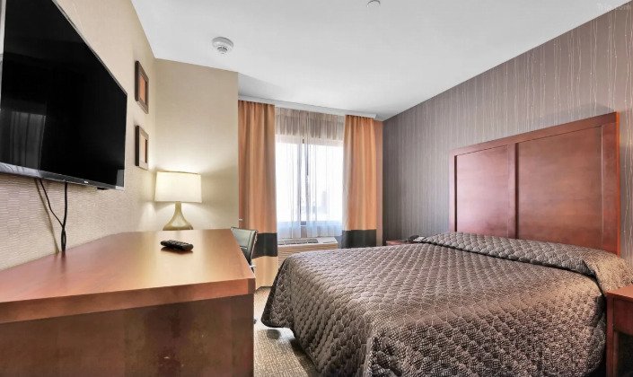 Tour Packages Hotel Pergola Jamaica deluxe single room