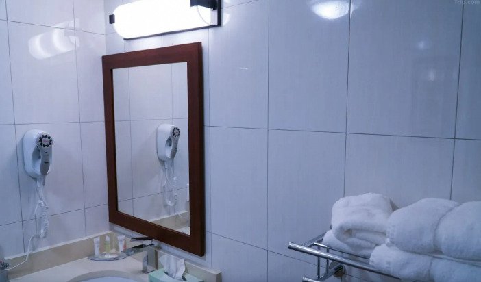 Tour Packages Hotel Mint JFK bathroom